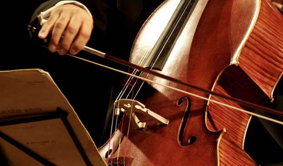 Violino